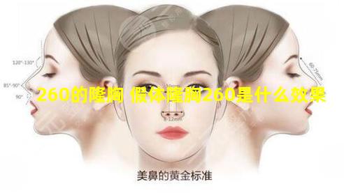 260的隆胸 假体隆胸260是什么效果
